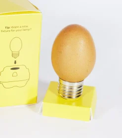 Ruben de Haas Ampoule-oeuf