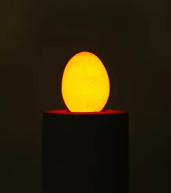 Ruben de Haas Ampoule-oeuf