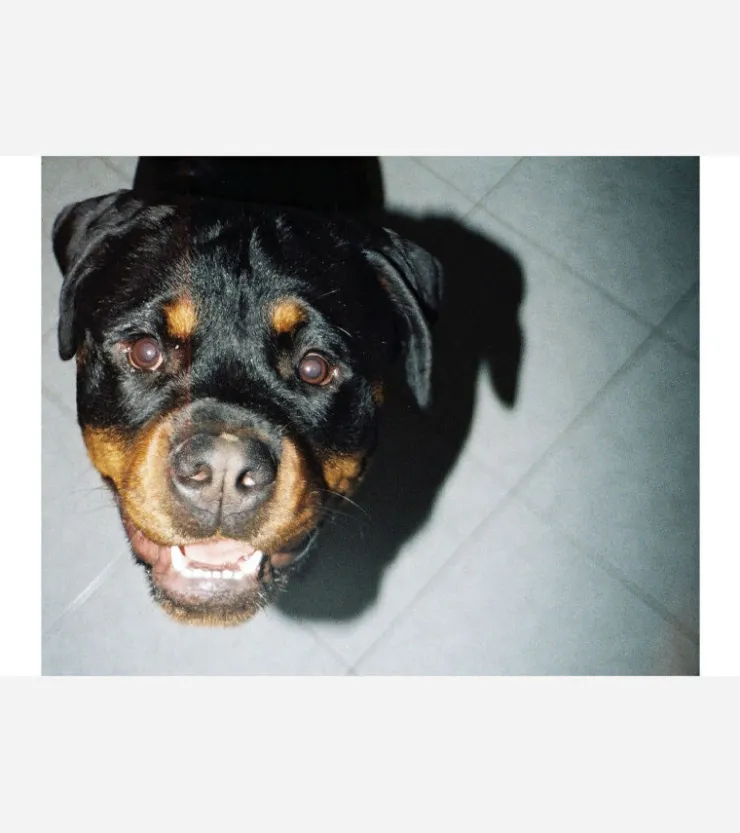 Lomography Appareil photo avec flash Lomomatic 110 -