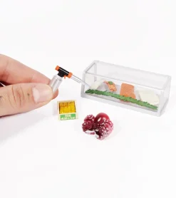 Clever idiots Blind box - Restaurant de sushis