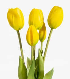 Nodito Bouquet de tulipes réalistes
