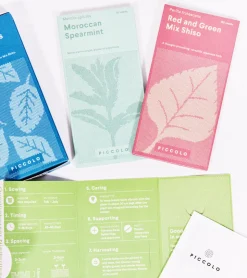 Piccolo seeds Coffret de graines - Herbes à cocktails