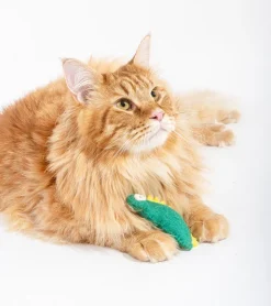 Ware of the dog Dino en laine pour chats