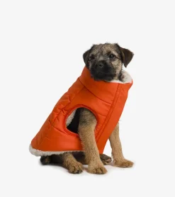 French bandit Doudoune en sherpa pour chiens