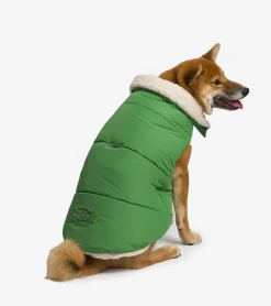 French bandit Doudoune en sherpa pour chiens