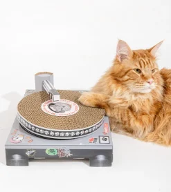 suck uk Griffoir DJ set pour chats