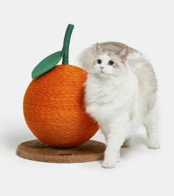 Vetreska Griffoir mandarine pour chats
