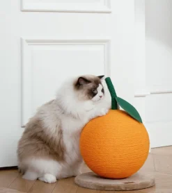 Vetreska Griffoir mandarine pour chats