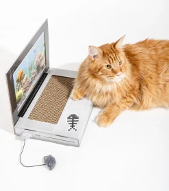 suck uk Griffoir ordinateur pour chats