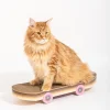 suck uk Griffoir skateboard pour chats