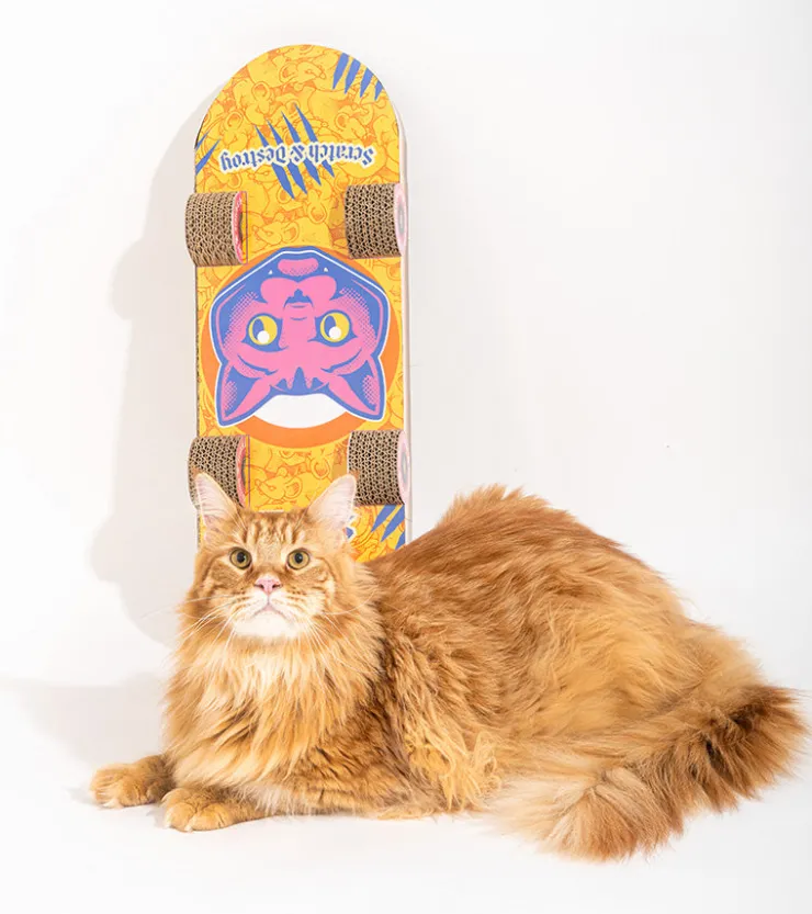 suck uk Griffoir skateboard pour chats