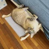 Innova goods Hamac en bois pour chats