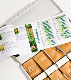 Radis & Capucine Le coffret de 52 sachets de graines