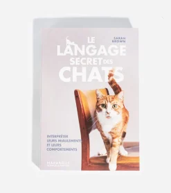 Hachette Marabout Le langage secret des chats