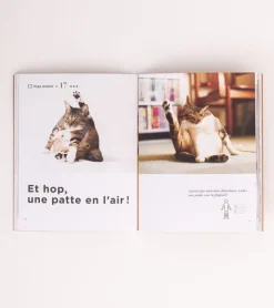 Hachette Pratique Le Yoga du Chat