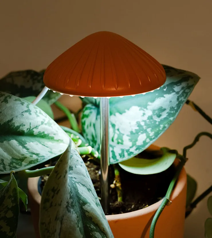 Kikkerland Lumière de culture en forme de champignon