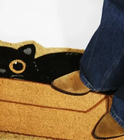 FISURA Paillasson Chat caché