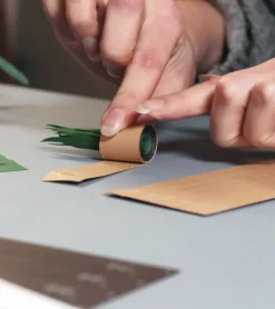 Pikkii Plantes en papier DIY
