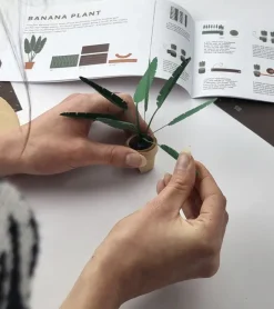 Pikkii Plantes en papier DIY