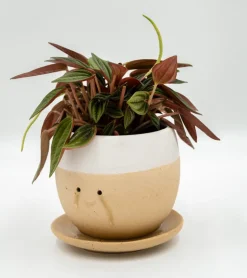 MAGS Pot à plante qui pleure (de joie)