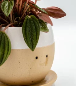 MAGS Pot à plante qui pleure (de joie)