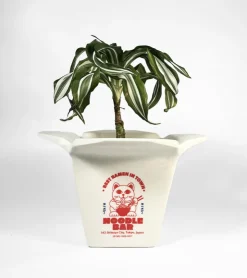 Fluid Pot à plantes Ramen