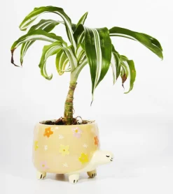 SASS AND BELL Pot à plantes tortue