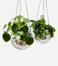 L'expressionist Pot de plantes disco boule à facettes