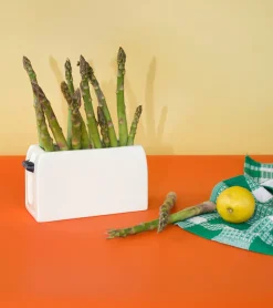 L'expressionist Pot de rangement Toaster