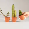 Pikkii Pots à succulentes qui se tiennent la main