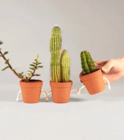Pikkii Pots à succulentes qui se tiennent la main
