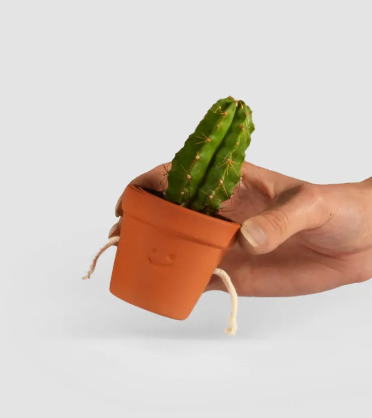 Pikkii Pots à succulentes qui se tiennent la main