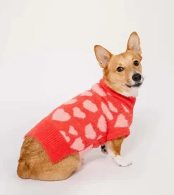 The furryfolks Pull coeurs pour animaux