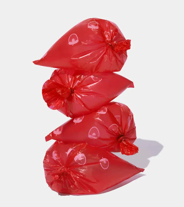 Vetreska Sacs à crottes à la fraise