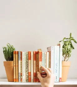 suck uk Serre-livres 2 en 1 / Pot à plantes