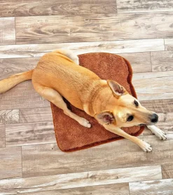 A shop of things Tapis Toast