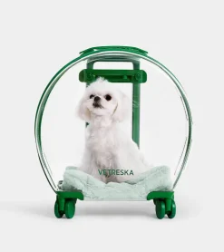 Vetreska Valise Bubble pour animaux - Vert