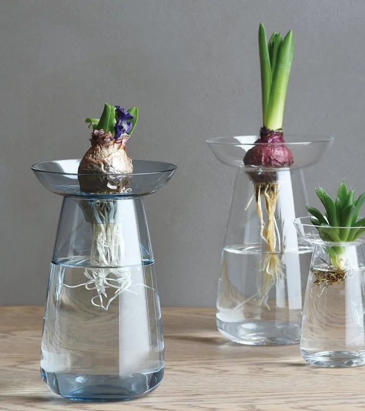 Kinto Vase à hydroculture