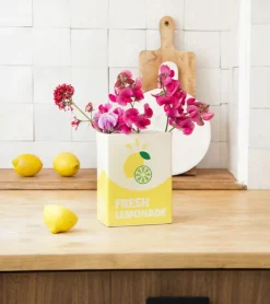 L'expressionist Vase brique de limonade