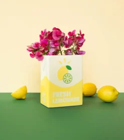 L'expressionist Vase brique de limonade