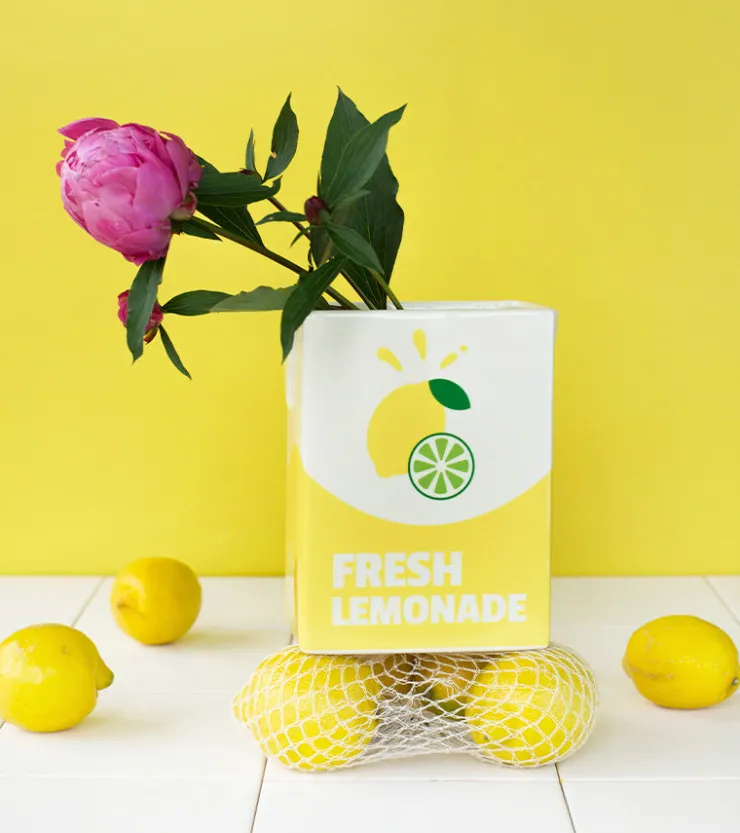 L'expressionist Vase brique de limonade