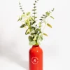 L'expressionist Vase sauce piquante