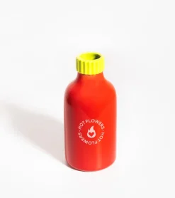 L'expressionist Vase sauce piquante